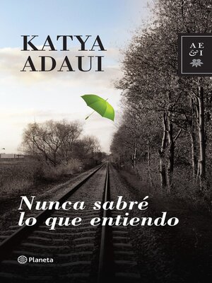 cover image of Nunca sabré lo que entiendo